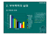 부부폭력 부부폭력 개념-10