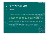 부부폭력 부부폭력 개념-16