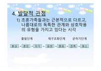 재혼가족 - 개념과 특성 현황 및 문제점-13