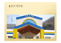 천안 죽전원 실습 보고-1