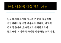 산업사회복지실천-3