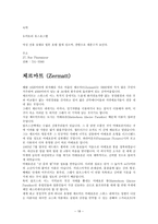 스위스 여행 계획서 [유명 지역에 대한 정보, 여행 준비물 및 일정, 여행 상식]-18