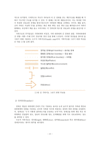 가족 개입 모델 - 구조적 관점-8