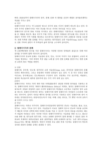 말레이시아의 문화 이해 - 말레이족의 라마단, 하리라야, 힌두교의 타이푸삼-3