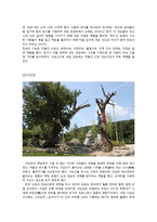 한국민속의 이해 - 선조들의 발자취를 찾아서(한국 민속 소개)-3