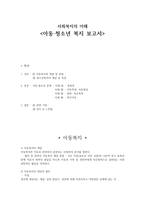 사회복지의 이해 - 아동, 청소년 복지 보고서-1