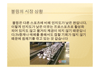 스포츠 용품(볼링)-3