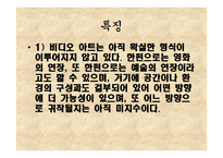 예술과 사상 - 비디오아트 정의 특징-3