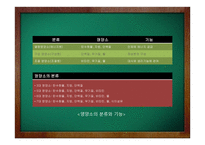 피부미용학 - 피부와 영양-3