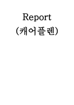 캐어플렌(Social Work Practice Intake Sheet)-1