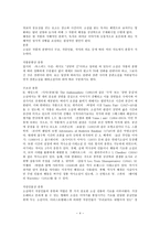 소설에 대하여 - 감자, 동백꽃, 비오는 날-4