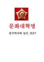 문화대혁명 - 중국역사에 남긴 것은-1