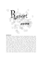 문화대혁명 - 정의 배경 대약진 운동 마오쩌둥과 류샤오치의 갈등 개시-1