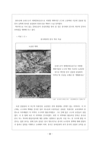 중국인의 역사인식 - 중국문화와 비즈니스-3