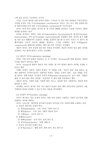 국어 의미 분석론 - 공시론, 통시론-3