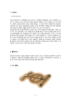 사라져가는 우리의 민속놀이 - 고누, 공기놀이, 꼬리따기, 고무줄 놀이-2