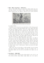 러시안 신화 - 신화의 이해 - 분석-11