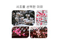 매화사 - 시조를 선택한 이유 안민영은 누구인가 매화사 전문 분석-3