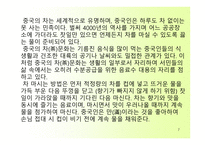 중국의 독특한 문화-7