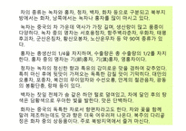 중국의 독특한 문화-8