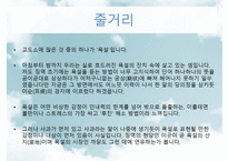 신영복에 대하여 - 욕설의 리얼리즘-6