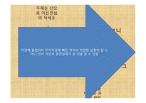 만흥-윤선도 레포트-11