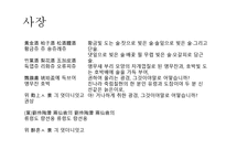 한림별곡 - 본문 느낌점 창작시-13