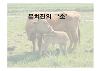 유치진 - 소 레포트-1