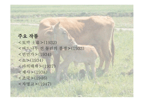 유치진 - 소 레포트-3