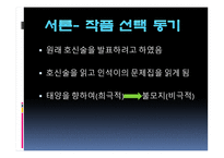 차범석 _ 불모지-2