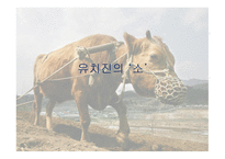 유치진 - 소 레포트-1