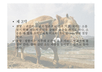 유치진 - 소 레포트-8