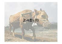 유치진 - 소 레포트-13