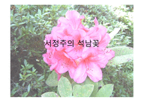 [서정주의 석남꽃]-1