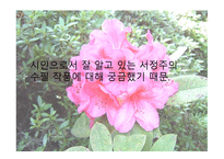 [서정주의 석남꽃]-3