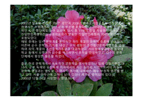 [서정주의 석남꽃]-6