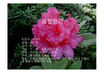 [서정주의 석남꽃]-8
