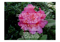 [서정주의 석남꽃]-11