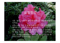 [서정주의 석남꽃]-13