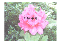 [서정주의 석남꽃]-14