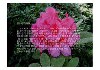 [서정주의 석남꽃]-15