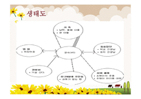 말아톤 - CT 인적사항 가족히스토리 사정과정에서 찾을 질문과 해답들-9