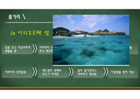 남쪽으로 튀어 레포트-11