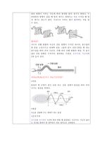 실습 보고서 - 빛의 편광을 이용한 실험-3