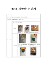 실습 보고서 - 2013 과학싹 큰잔치-1