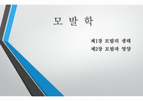 모발학 - 모발의 생태 영양-1