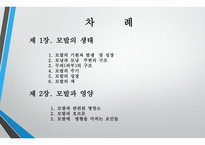 모발학 - 모발의 생태 영양-2