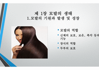 모발학 - 모발의 생태 영양-3