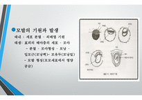 모발학 - 모발의 생태 영양-4