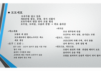 모발학 - 모발의 생태 영양-8